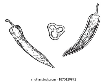 Hand drawn sketch black and white set of hot pepper, slice. vector illustration. Elements in graphic style label, card, sticker, menu, package, poster.