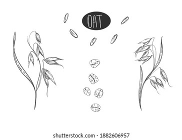 Hand drawn sketch black and white set of oat plant, grain, oatmeal, leaf. Vector. Elements in graphic style label, card, sticker, menu, package. Engraved style illustration.