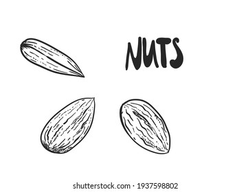 Hand drawn sketch black and white of nuts, almonds. Vector illustration. Elements in graphic style label, sticker, menu, package. Engraved style illustration.