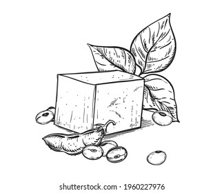 Hand drawn sketch black and white soybean, soy plant, leaf, tofu. Vector illustration. Elements in graphic style label, card, sticker, menu, package. Engraved style illustration.