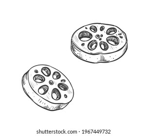 Hand Drawn Sketch Black And White Japanese Lotus Root, Vegetable Slice, Flower. Vector Illustration. Elements In Graphic Style Label, Card, Sticker, Menu, Package. Engraved Style.