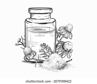 Hand drawn sketch black and white of flask, camomile, bulb. Vector illustration. Elements in graphic style label, card, sticker, menu, package. Engraved style illustration.