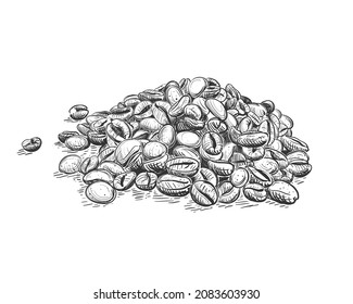 Hand drawn sketch black and white of coffee beans, grain, pile. Vector illustration. Elements in graphic style label, card, sticker, menu, package. Engraved style illustration.