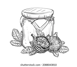 Hand drawn sketch black and white of fig jam, jar, leaf. Vector illustration. Elements in graphic style label, card, sticker, menu, package. Engraved style illustration.