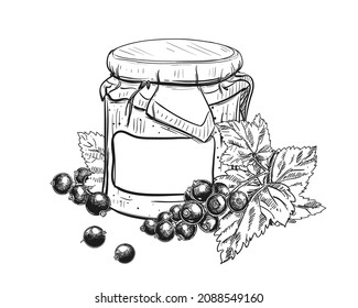 Hand drawn sketch black and white of blackberry, black currant jam, berry, jar, leaf. Vector illustration. Elements in graphic style label, card, sticker, menu, package. Engraved style illustration.