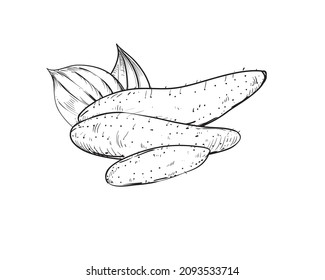 Hand drawn sketch black and white of yam, batata, leaf, sweet potato, slice. Vector illustration. Elements in graphic style label, card, sticker, menu, package. Engraved style illustration.