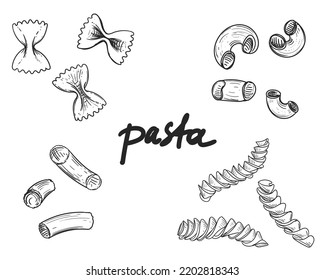 Hand drawn sketch black and white of pasta, spaghetti. Vector illustration. Elements in graphic style label, sticker, menu, package. Engraved style illustration.