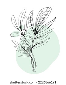 hand drawn sketch black and white leaves flower