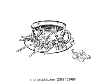 Hand drawn sketch black and white illustration cup of tea sea buckthorn, leaf, berry. Vector illustration. Elements in graphic style label, sticker, menu, package. Engraved style.