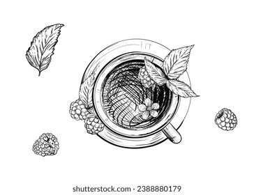 Hand drawn sketch black and white illustration cup of tea raspberry, leaf, berry. Vector illustration. Elements in graphic style label, sticker, menu, package. Engraved style.