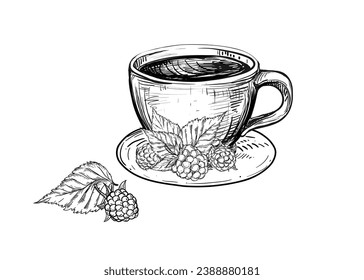 Hand drawn sketch black and white illustration cup of tea raspberry, leaf, berry. Vector illustration. Elements in graphic style label, sticker, menu, package. Engraved style.