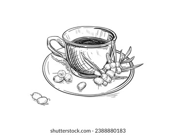 Hand drawn sketch black and white illustration cup of tea sea buckthorn, leaf, berry. Vector illustration. Elements in graphic style label, sticker, menu, package. Engraved style.