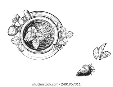 Hand drawn sketch black and white illustration cup of tea strawberry, leaf, berry, flower. Vector illustration. Elements in graphic style label, sticker, menu, package. Engraved style.
