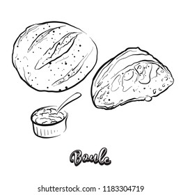 Hand drawn sketch of Boule bread. Vector drawing of Yeast bread food, usually known in France. Bread illustration series.