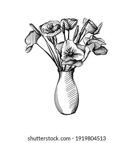 Hand drawn sketch of a bouquet of poppies in a vase on a white background. Poppy flower. Plants and flowers. 