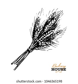 Hand drawn sketch bread background. Vector illustration of natural bakery foods