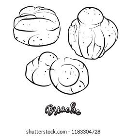 Hand drawn sketch of Brioche bread. Vector drawing of Yeast bread, Sweet food, usually known in France. Bread illustration series.