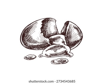 Esboço desenhado à mão de ovo quebrado com gema e pedaços de casca espalhados. Ilustração monocromática vintage de ovo cru para embalagens de alimentos, receitas, design de café da manhã e projetos culinários retrô.
