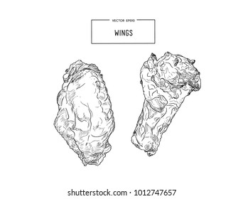 Hand drawn sketch buffalo chicken wings. Vector black and white vintage illustration. Isolated object on white background. Menu design