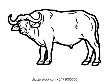 Hand Drawn Sketch of Bull