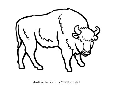 Hand Drawn Sketch of Bull