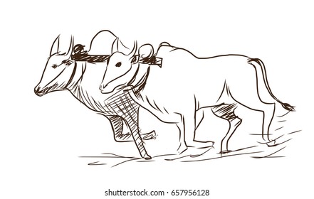 Hand drawn sketch of bull race in vector sketch.