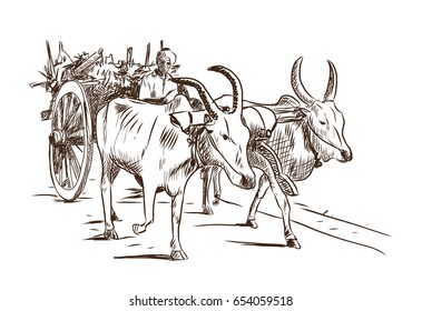 Hand drawn sketch of bullock cart in vector illustration.