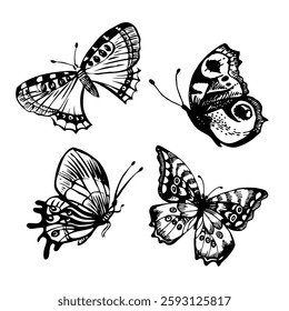 Hand drawn sketch butterfly set. Vector illustration