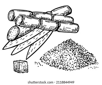 Hand drawn sketch cane sugar. Cubes of sugar and loose sugar and sugarcane raw plant, vector illustration isolated on white background