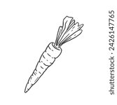 Hand drawn sketch carrot isolated on white background. Doodle style. Vector Illustration 