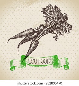 Hand drawn sketch carrots vegetable. Eco food background.Vector illustration