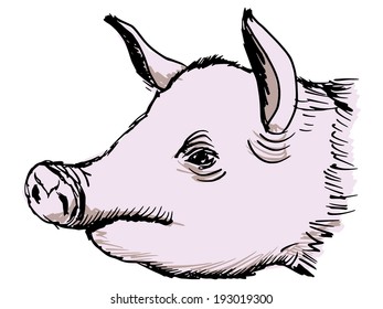 hand drawn, sketch, cartoon illustration of pig