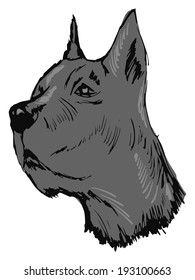 hand drawn, sketch, cartoon illustration of great Dane