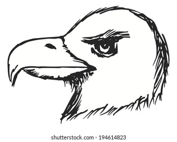 hand drawn, sketch, cartoon illustration of American bald eagle