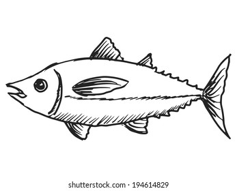 hand drawn, sketch, cartoon illustration of tuna