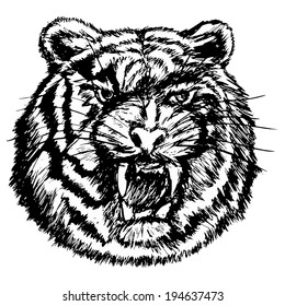 hand drawn, sketch, cartoon illustration of tiger