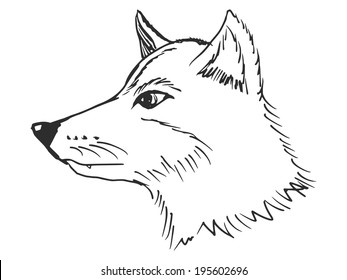 Hand Drawn Sketch Cartoon Illustration Wolf Stock Vector (Royalty Free ...