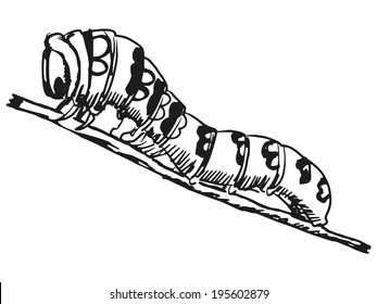 Hand Drawn, Sketch, Cartoon Illustration Of Caterpillar