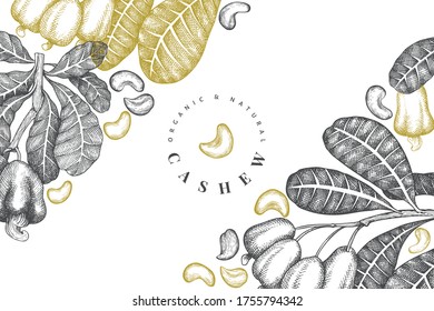 Hand drawn sketch cashew design template. Organic food vector illustration on white background. Vintage nut illustration. Engraved style botanical background.