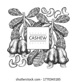 Hand drawn sketch cashew design template. Organic food vector illustration on white background. Vintage nut illustration. Engraved style botanical background.