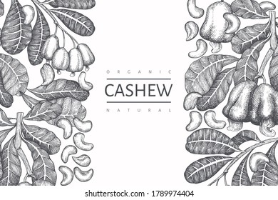 Hand drawn sketch cashew design template. Organic food vector illustration on white background. Vintage nut illustration. Engraved style botanical background.