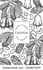 Hand drawn sketch cashew design template. Organic food vector illustration on white background. Vintage nut illustration. Engraved style botanical background.