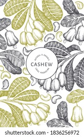 Hand drawn sketch cashew design template. Organic food vector illustration on white background. Vintage nut illustration. Engraved style botanical background.
