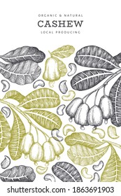 Hand drawn sketch cashew design template. Organic food vector illustration on white background. Vintage nut illustration. Engraved style botanical background.