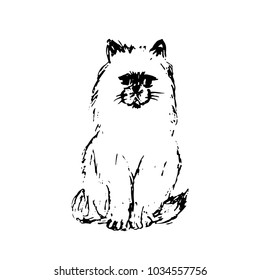 Hand drawn sketch of cat. Black line drawing isolated on white background. Fluffy little pet. Cute furry sitting kitten. Vector animal illustration.