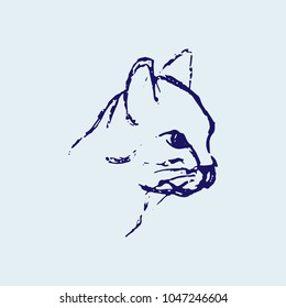 Hand drawn sketch of cat head. Line drawing of pet. Blue colors. Vector animal illustration.