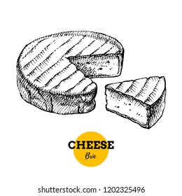 Hand drawn sketch cheese brie background. Vector illustration of natural milk foods