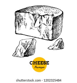 Hand drawn sketch cheese parmesan background. Vector illustration of natural milk foods