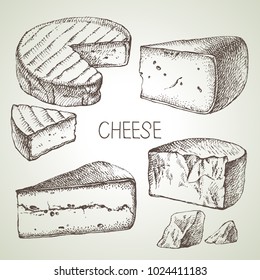 Hand drawn sketch cheese types set. Vector illustration of natural foods