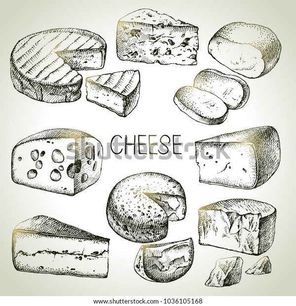 手描きのスケッチチーズタイプセット 天然食品のベクターイラスト のベクター画像素材 ロイヤリティフリー